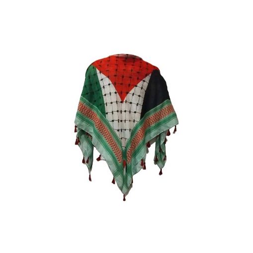 صورة مجموعة كاملة لمشجعي فلسطين  من 4 قطع